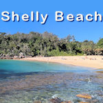 Shelly Beach